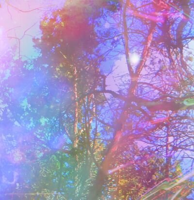 WITCHTIPS & HOROSCOPES 8/25-8/31